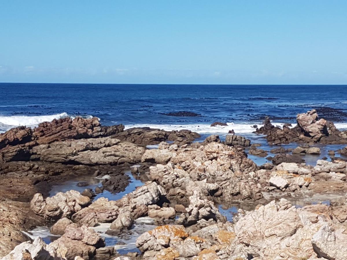 Corban Cottage Hermanus Eksteriør billede